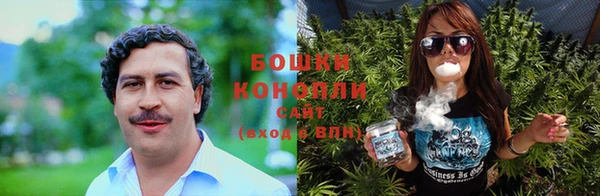 сатива Мегион