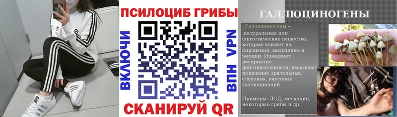 Галлюциногенные грибы прущие грибы  Дербент 
